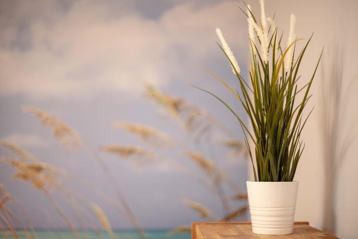 -Malagasunapts- Stylish City Centre Pool&Parking Buitenkant foto